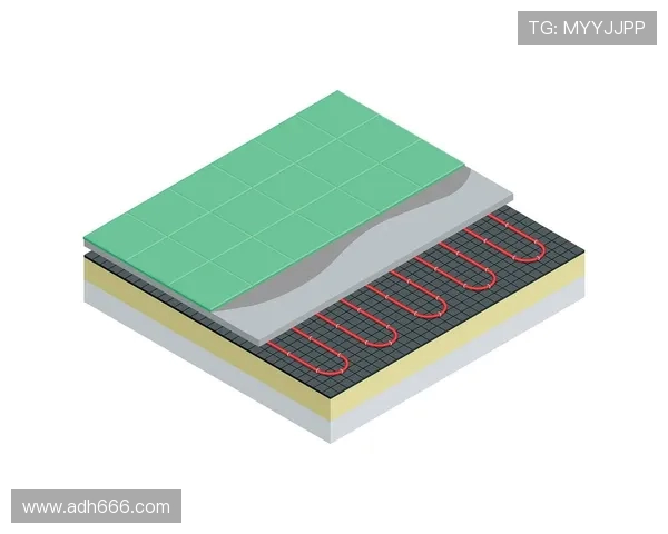 直升机桨叶的复合材料铺层设计