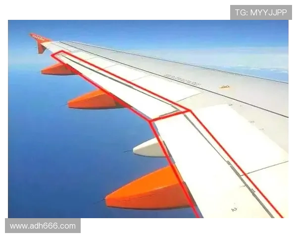 飞机机翼前缘防冰的热传导